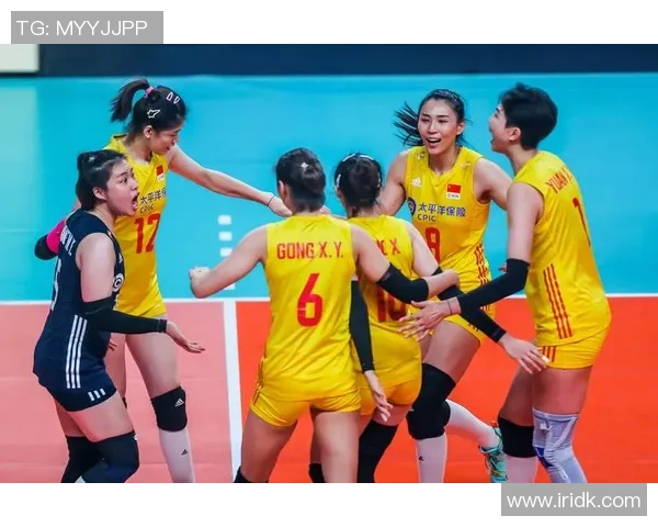 武汉排球队实力强劲荣登全国排球力量排行榜第五名